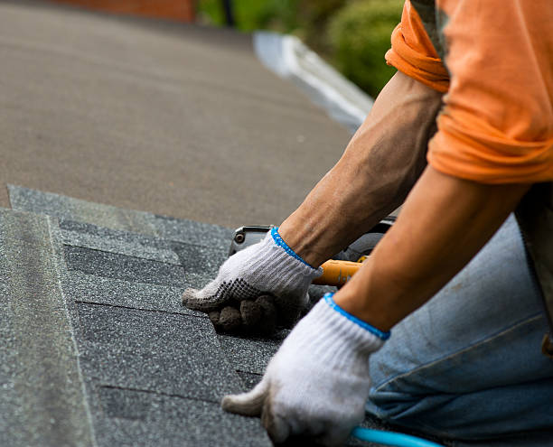 Best Local Roofing Companies  in Halfway, MD
